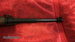 Chiappa Firearms M1-9 Carbine 2